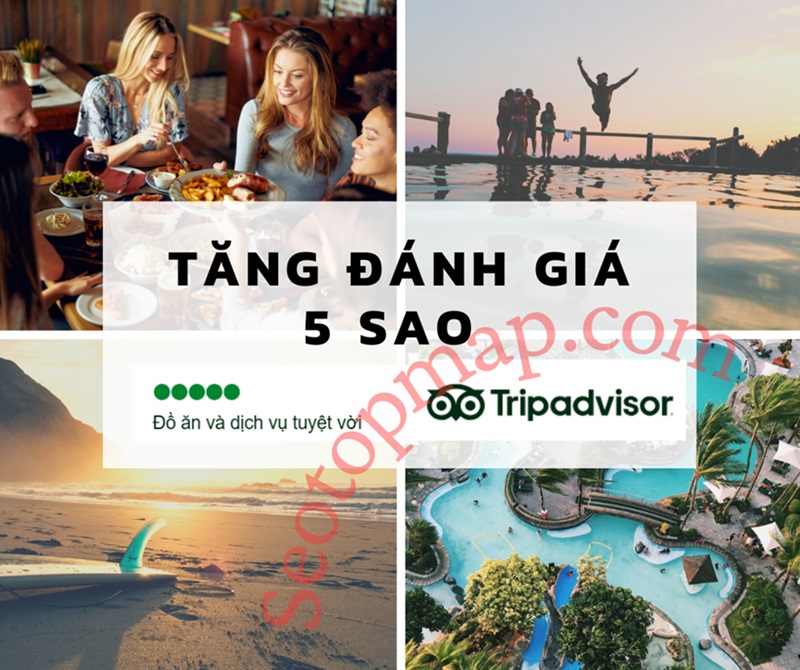 Ảnh hưởng của Tripadvisor đến doanh nghiệp du lịch & dịch vụ tại Việt Nam