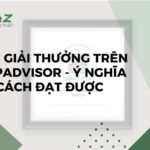 Các Giải Thưởng Trên Tripadvisor – Ý Nghĩa Và Cách Đạt Được