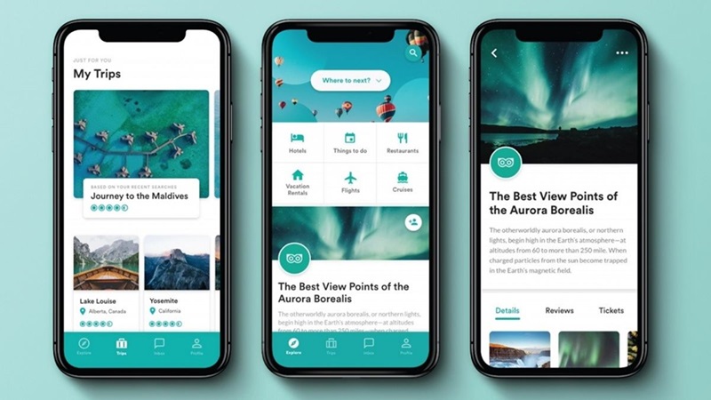 Nguyên nhân thúc đẩy Tripadvisor phát triển tại Việt Nam