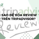Làm Sao Để Xóa Review Xấu Trên Tripadvisor?